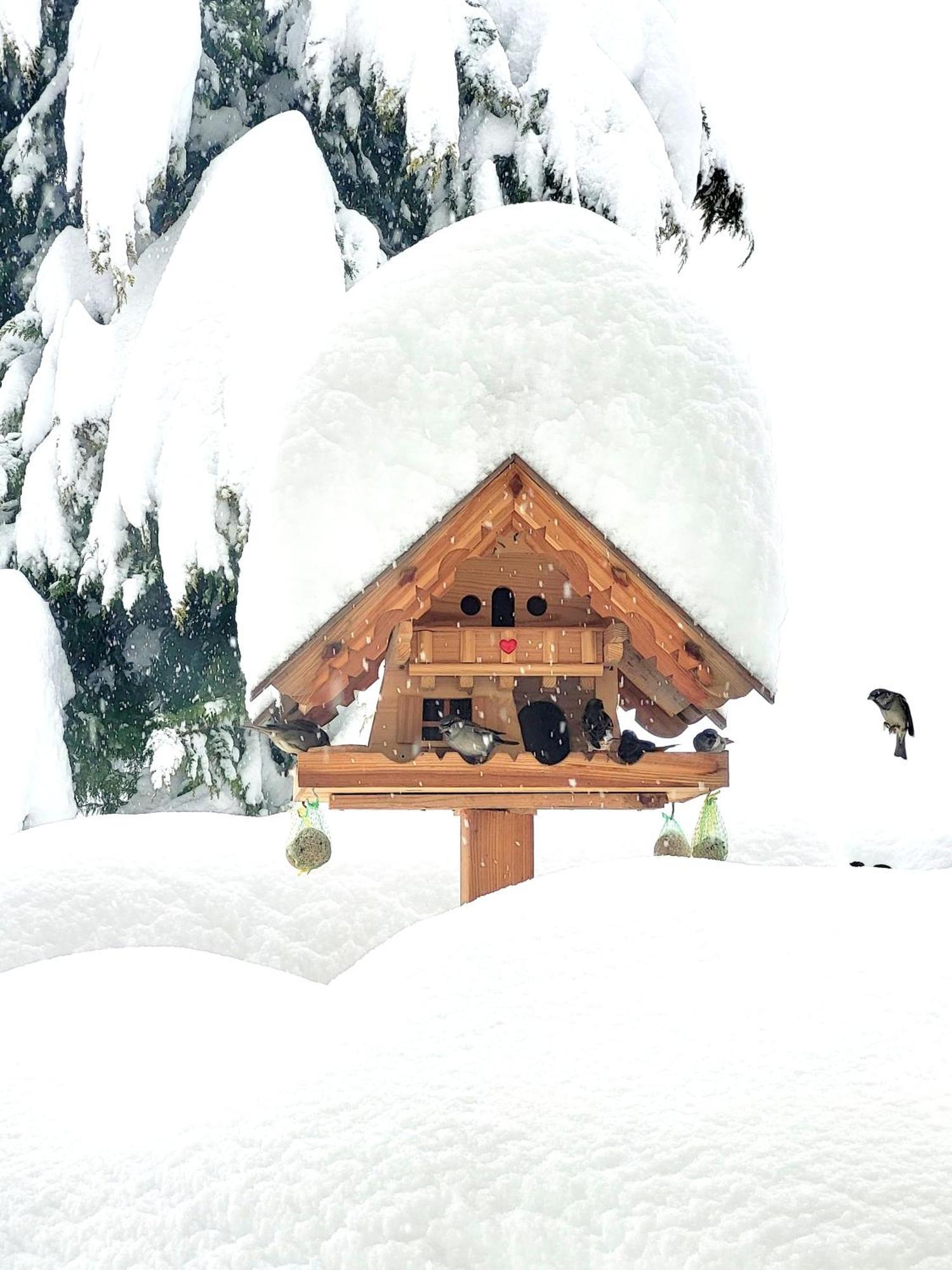 Gaestehaus Herma Ramsau am Dachstein Bagian luar foto