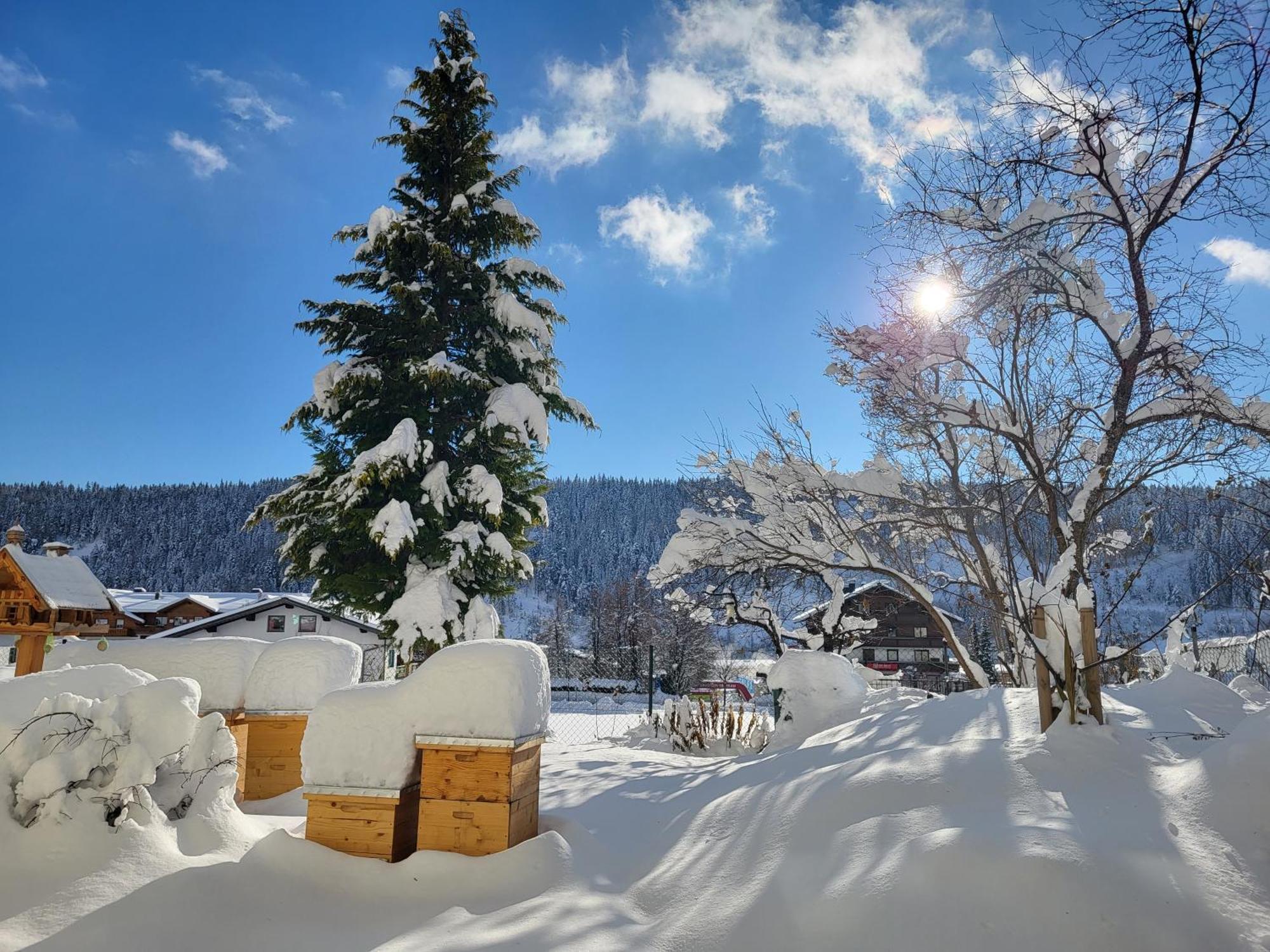Gaestehaus Herma Ramsau am Dachstein Bagian luar foto