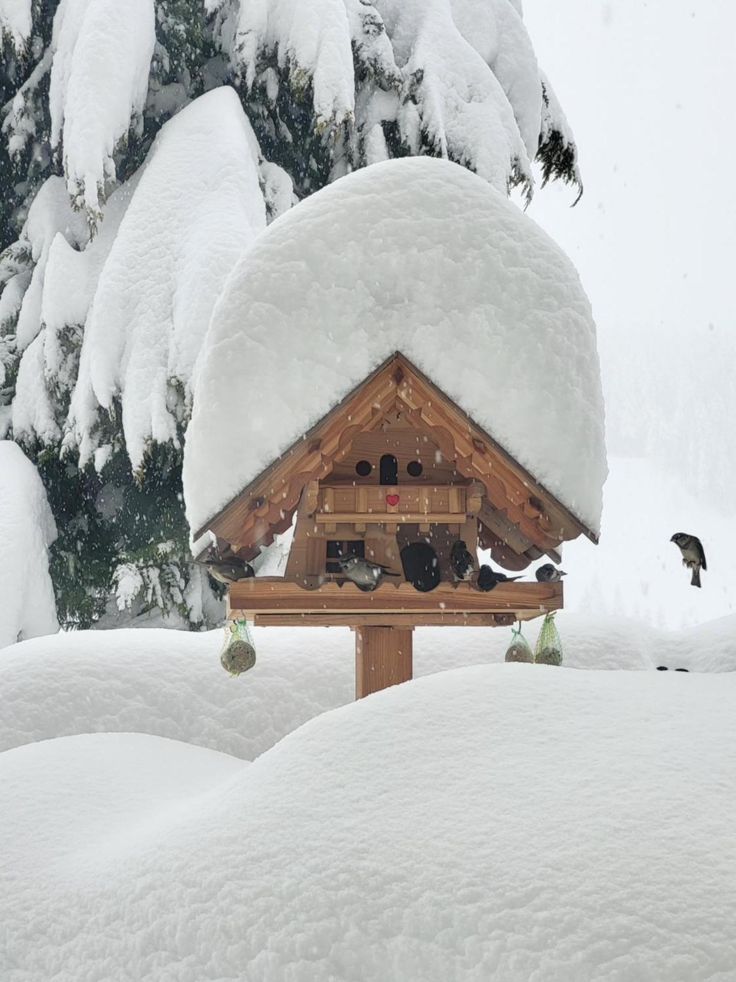 Gaestehaus Herma Ramsau am Dachstein Bagian luar foto