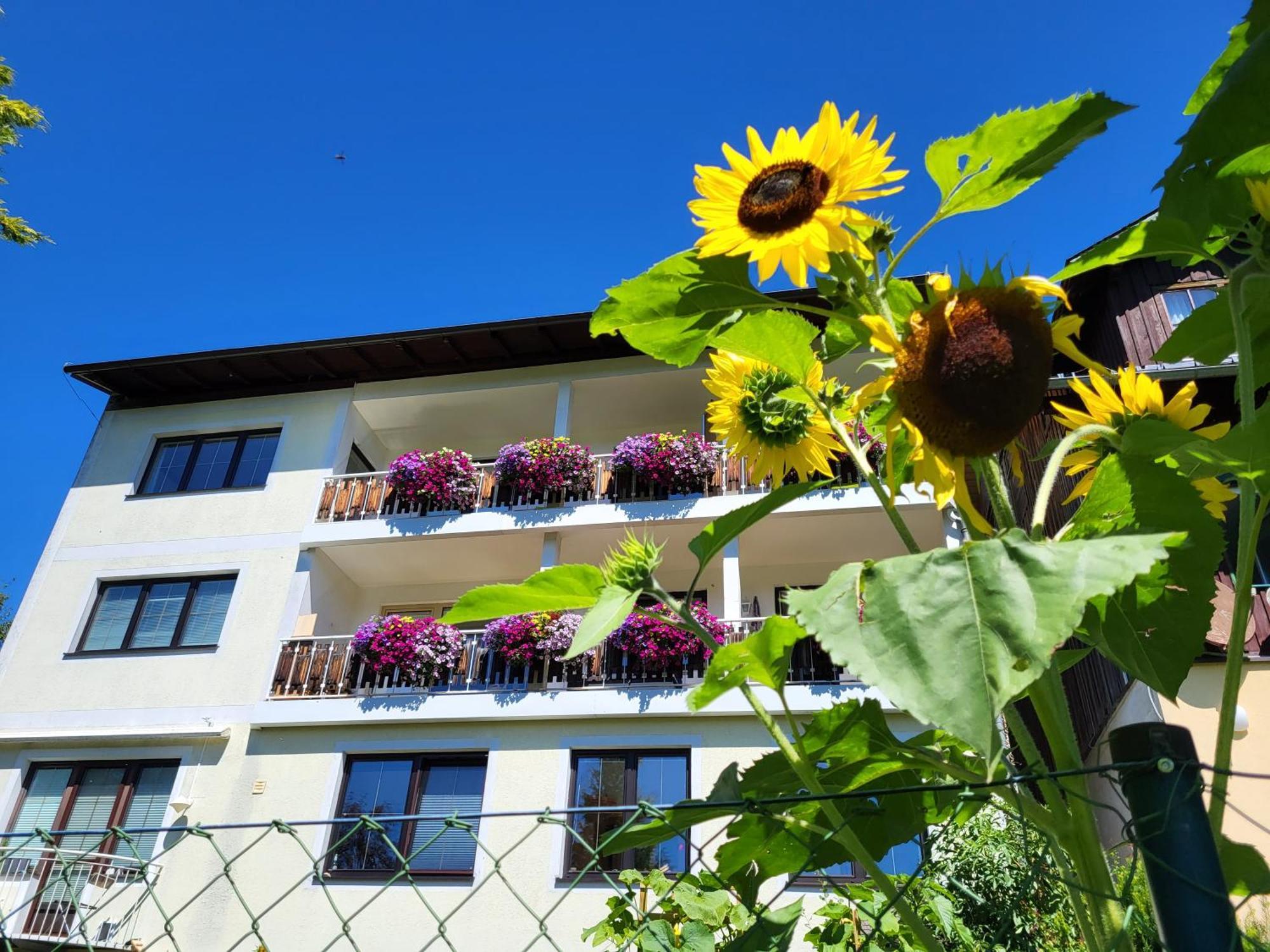 Gaestehaus Herma Ramsau am Dachstein Bagian luar foto