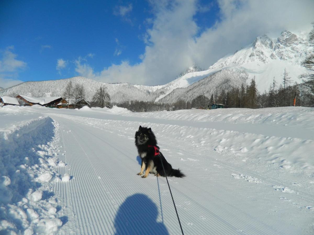 Gaestehaus Herma Ramsau am Dachstein Bagian luar foto