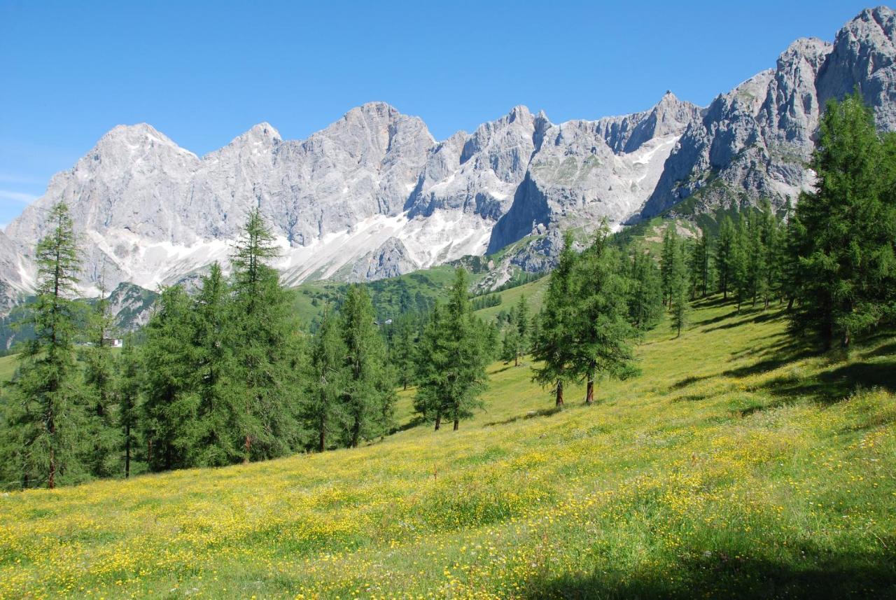Gaestehaus Herma Ramsau am Dachstein Bagian luar foto