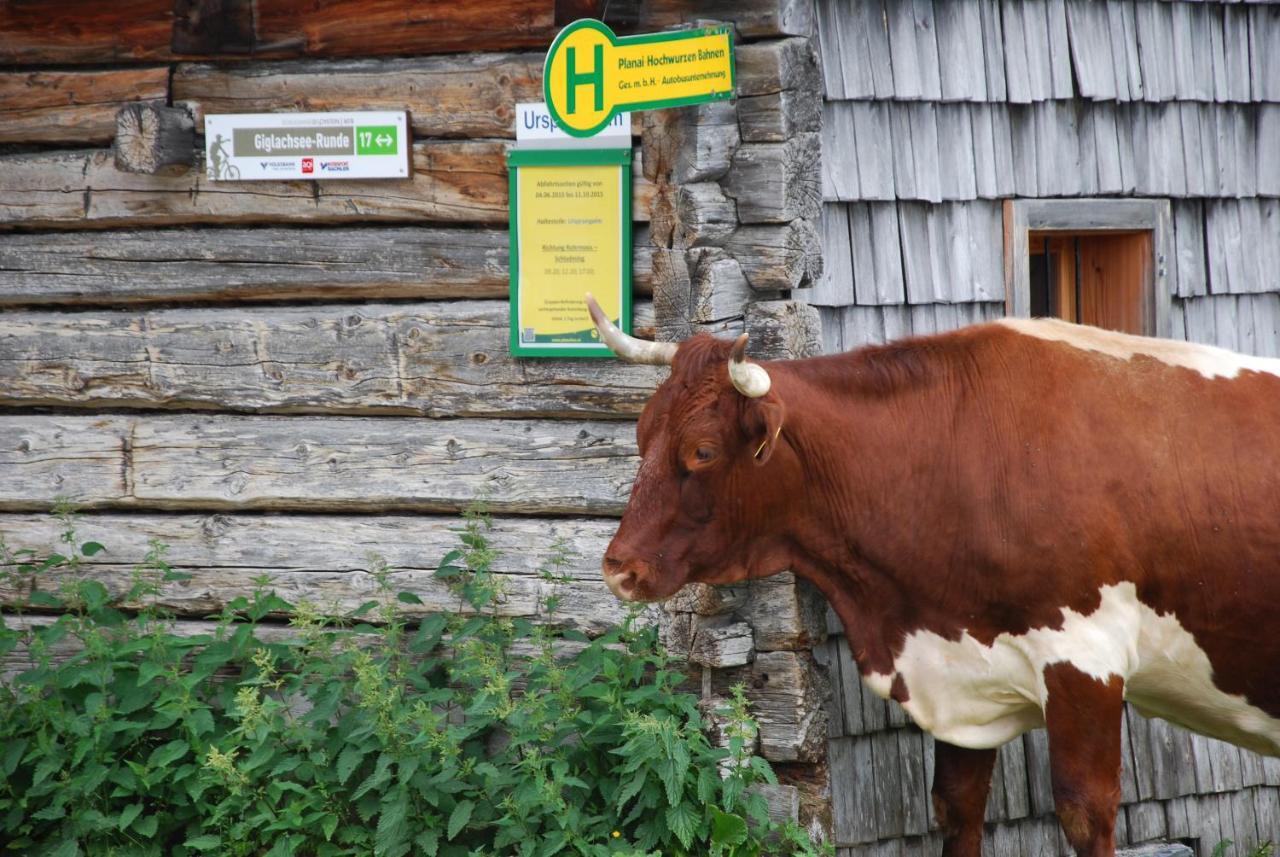 Gaestehaus Herma Ramsau am Dachstein Bagian luar foto